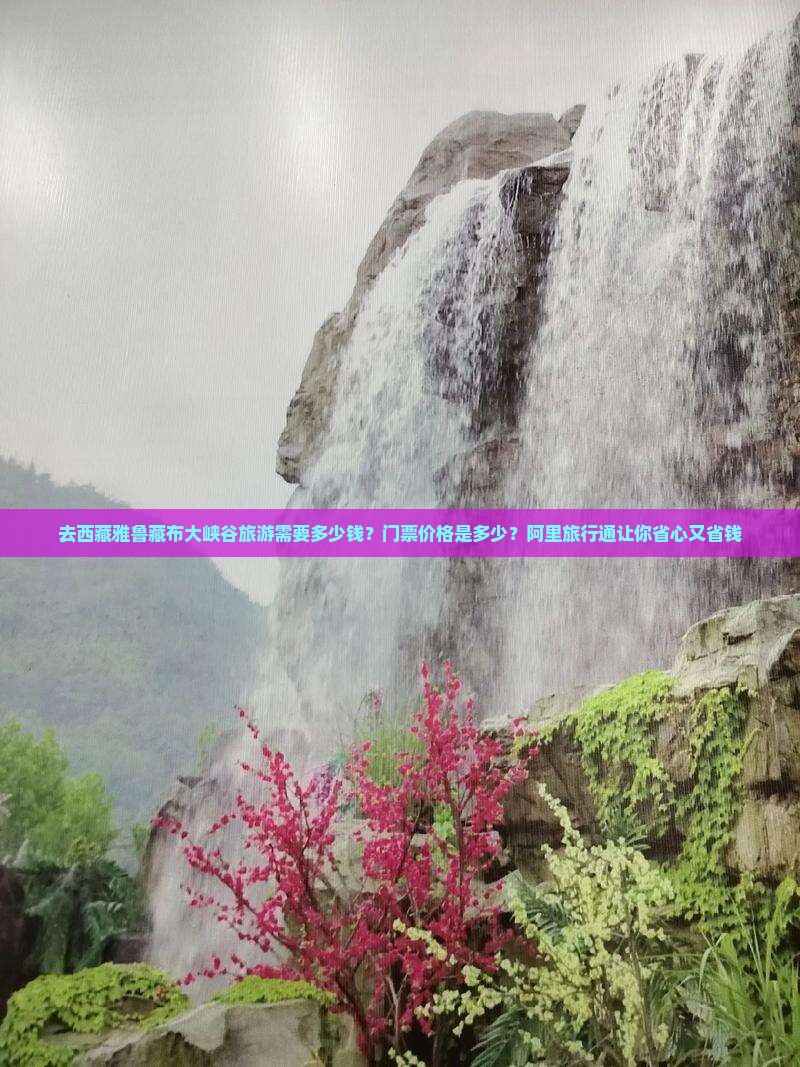 拉萨去西藏雅鲁藏布大峡谷门票