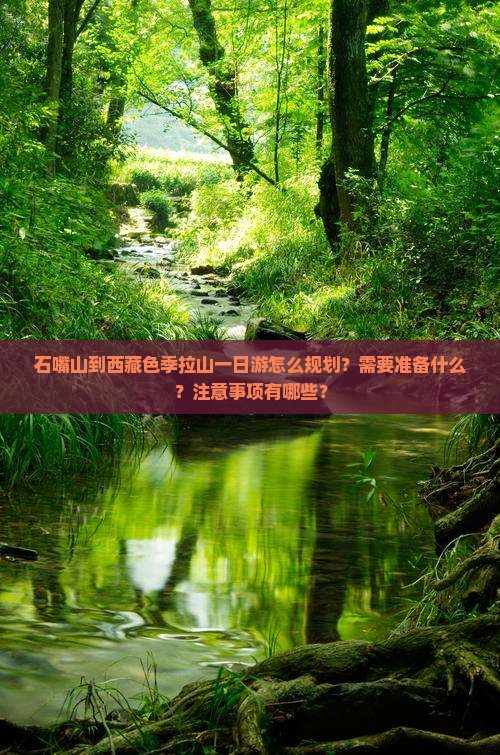 石嘴山到西藏色季拉山一日