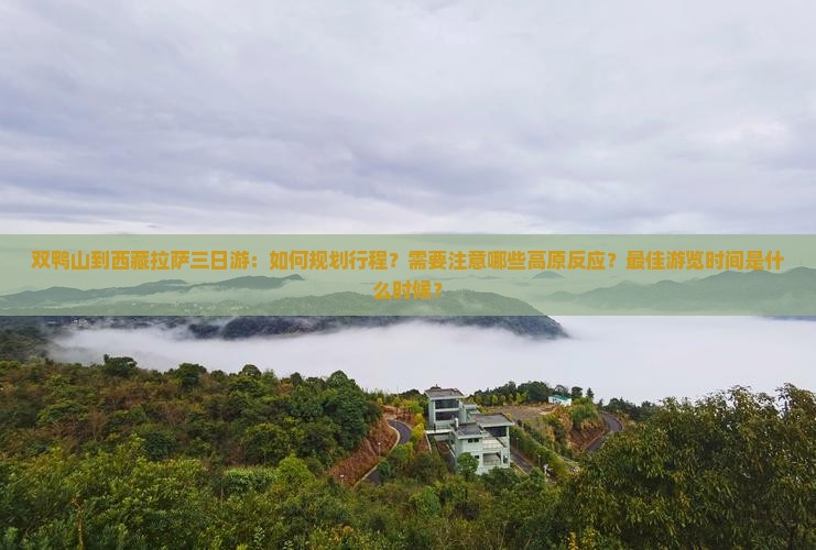 双鸭山到西藏拉萨三日游