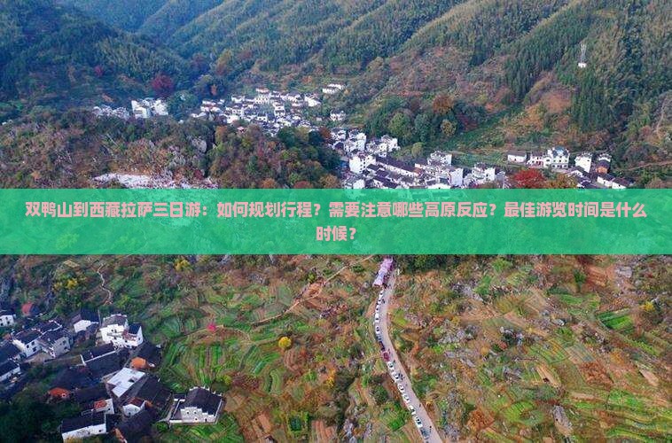 双鸭山到西藏拉萨三日游