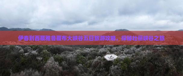 伊春到西藏雅鲁藏布大峡谷五日游 伊春到西藏雅鲁藏布大峡谷五日游