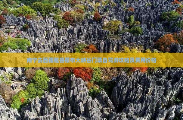 南宁去西藏雅鲁藏布大峡谷门票