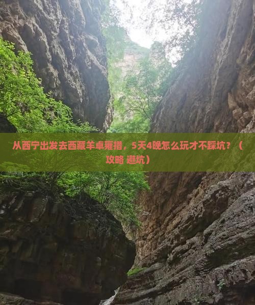 西宁去西藏羊卓雍措自由团