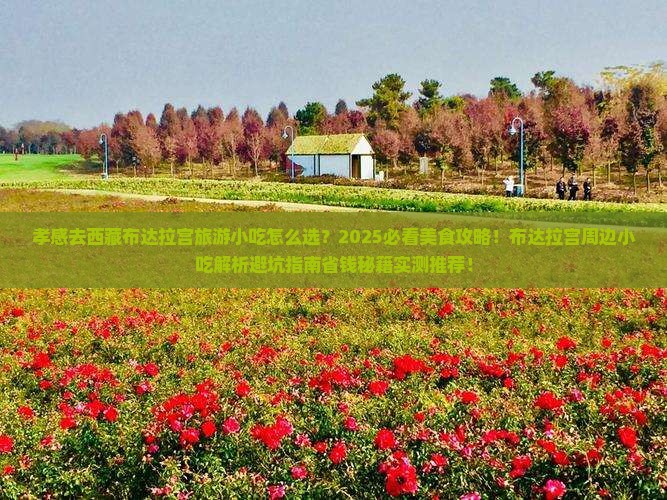 孝感去西藏布达拉宫旅游小吃
