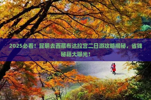 昆明去西藏布达拉宫二日游