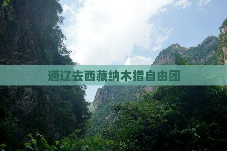 通辽去西藏纳木措自由团