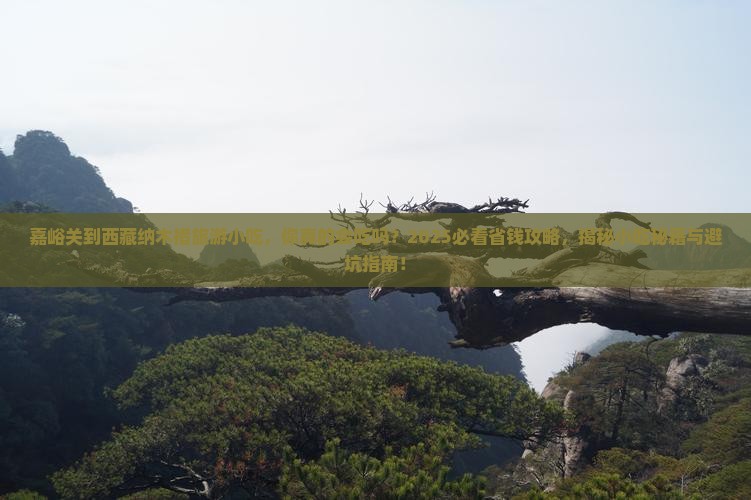 嘉峪关到西藏纳木措旅游小吃