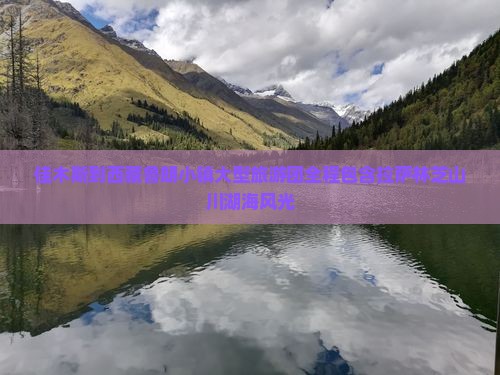 佳木斯到西藏鲁朗小镇大型旅游团