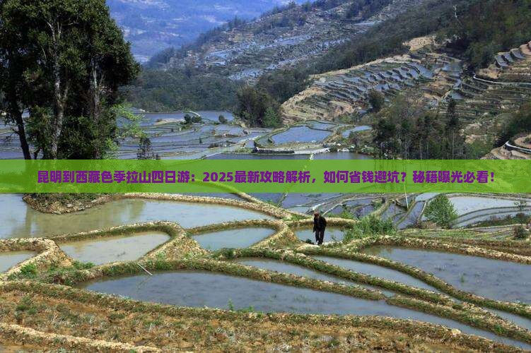 昆明到西藏色季拉山四日游