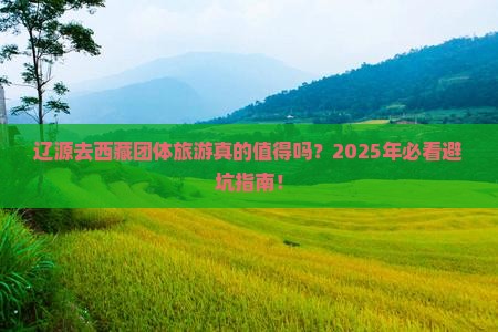 辽源去西藏团体旅游