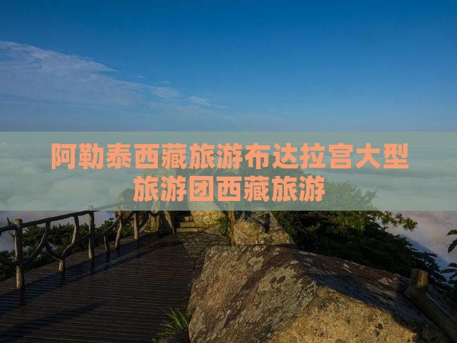 阿勒泰去西藏布达拉宫大型旅游团