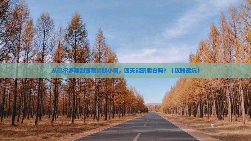 鄂尔多斯到西藏鲁朗小镇四日游