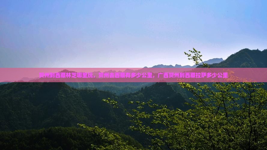 贺州到西藏林芝哪里玩