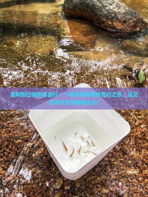 垦利到西藏日喀则自由行