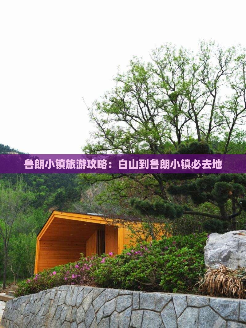 白山到西藏鲁朗小镇必去地