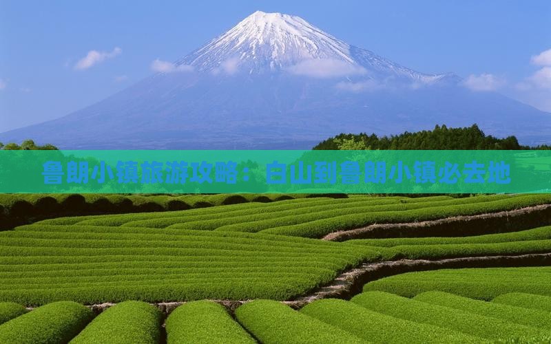 白山到西藏鲁朗小镇必去地