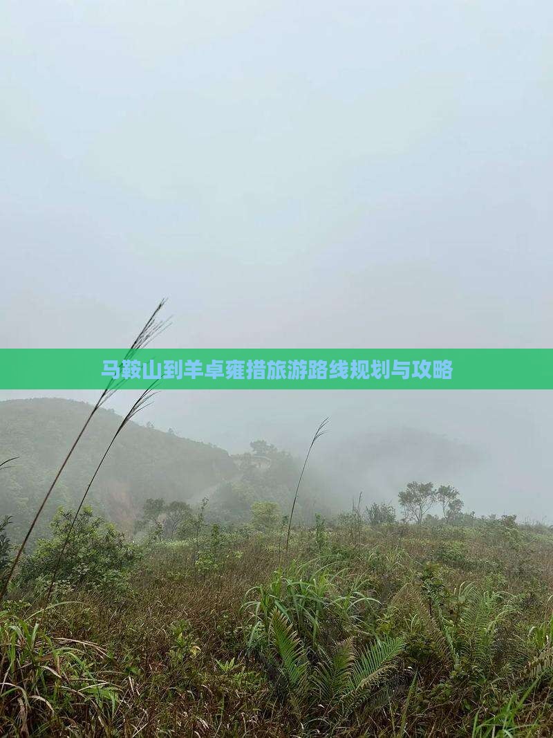 马鞍山到西藏羊卓雍措旅游