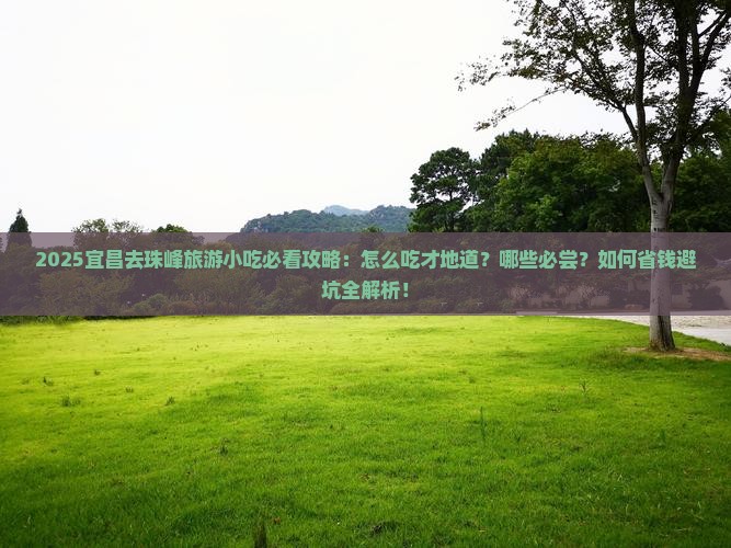 宜昌去西藏珠峰大本营旅游小吃