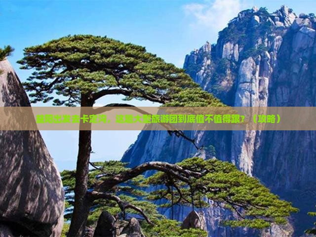 益阳去西藏卡定沟大型旅游团