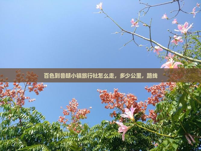百色到西藏鲁朗小镇旅行社