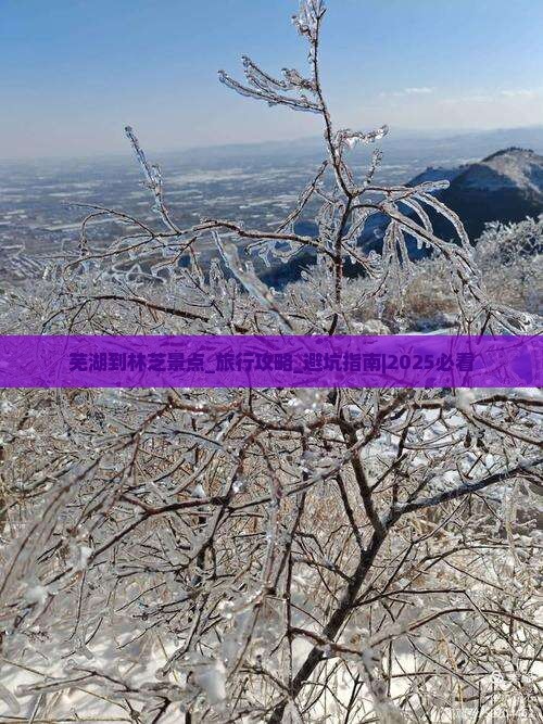 芜湖到西藏林芝景点