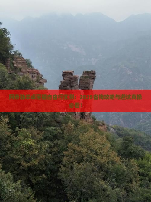 阿泰勒去西藏羊卓雍措自由行