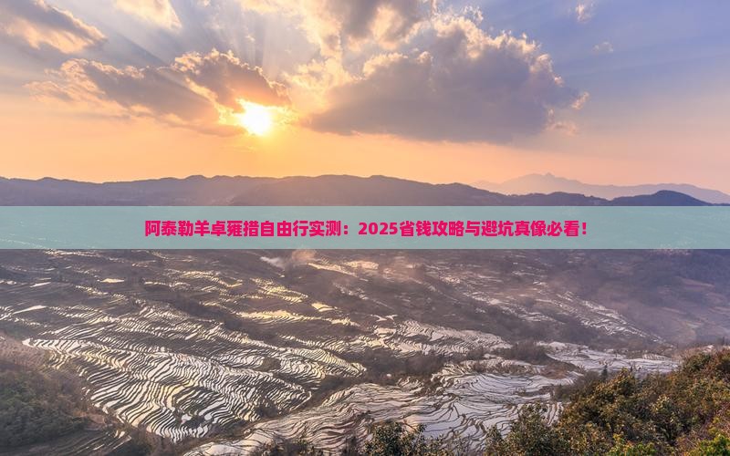 阿泰勒去西藏羊卓雍措自由行