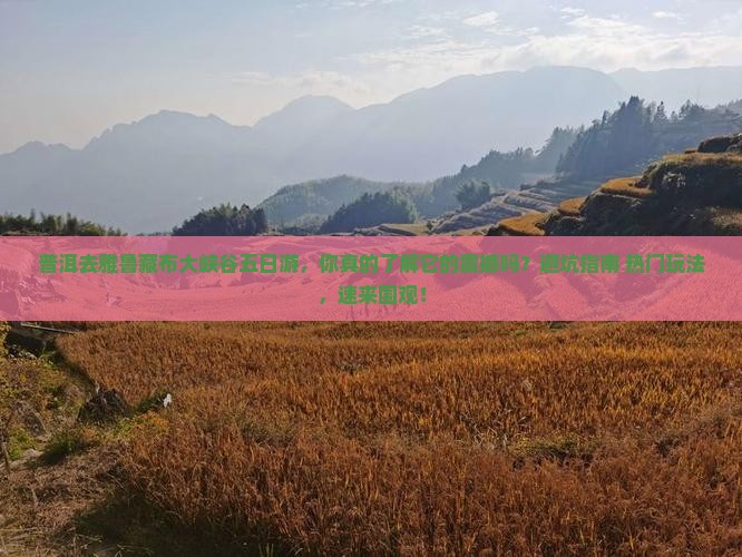 普洱去西藏雅鲁藏布大峡谷五日游
