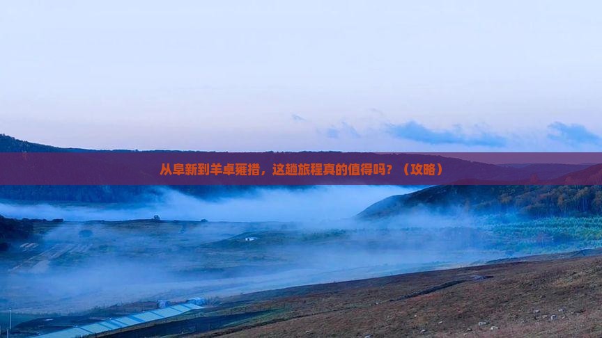 阜新到西藏羊卓雍措旅游
