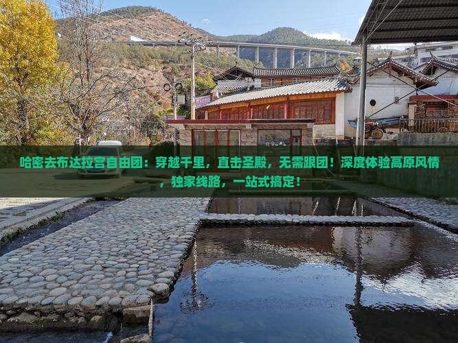 哈密去西藏布达拉宫自由团