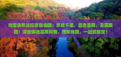 哈密去西藏布达拉宫自由团