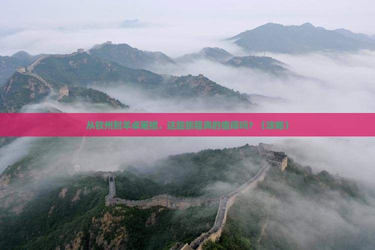 钦州到西藏羊卓雍措旅游