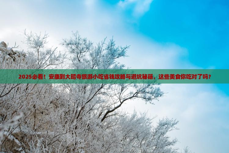 安康到西藏大昭寺旅游小吃
