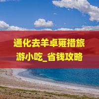通化去西藏羊卓雍措旅游小吃