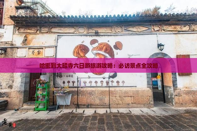 哈密到西藏大昭寺六日游
