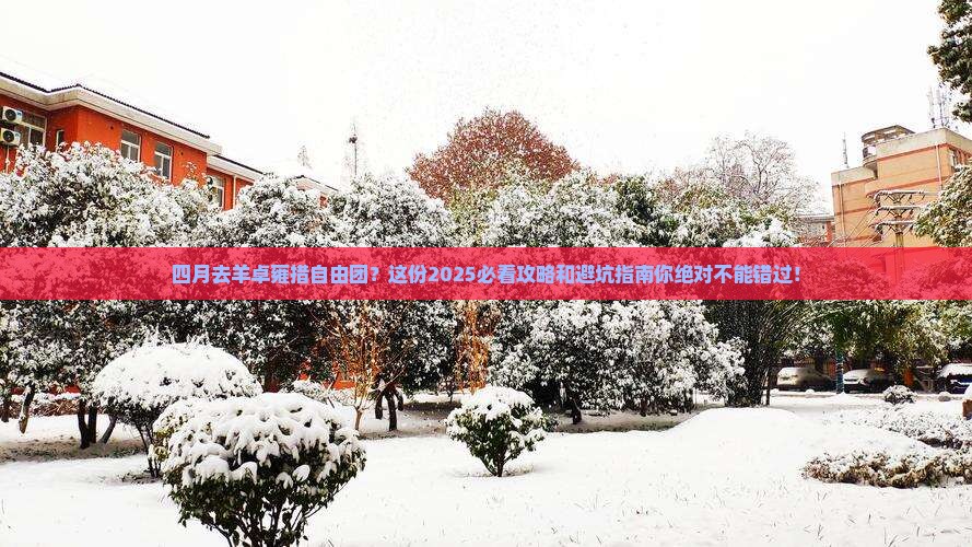 四月去西藏羊卓雍措自由团