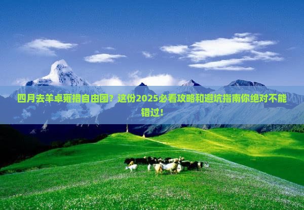 四月去西藏羊卓雍措自由团