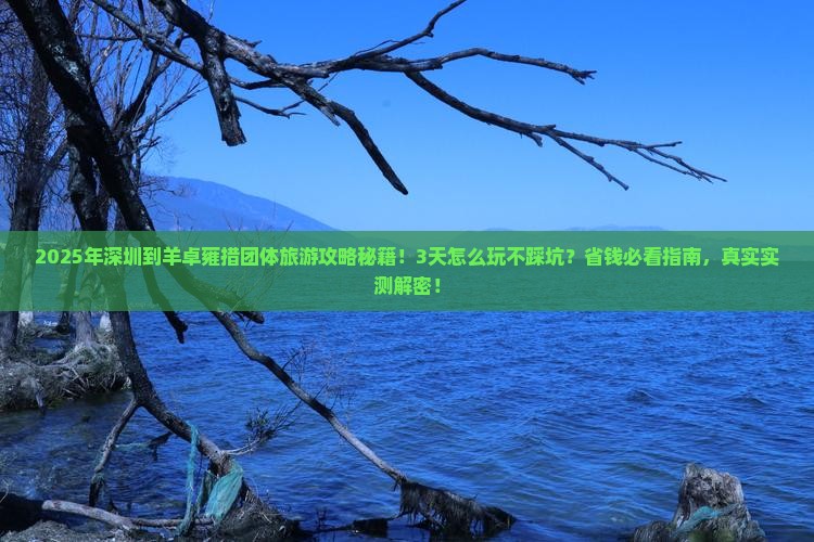 深圳到西藏羊卓雍措团体旅游