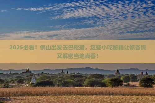佛山到西藏巴松措旅游小吃