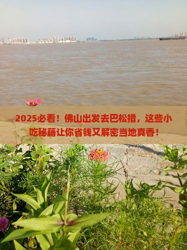 佛山到西藏巴松措旅游小吃