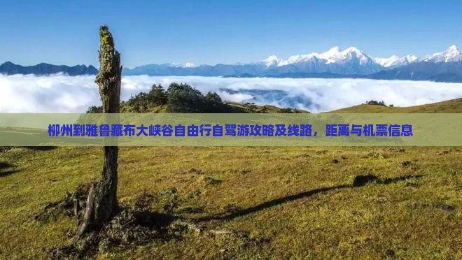 柳州到西藏雅鲁藏布大峡谷自由行