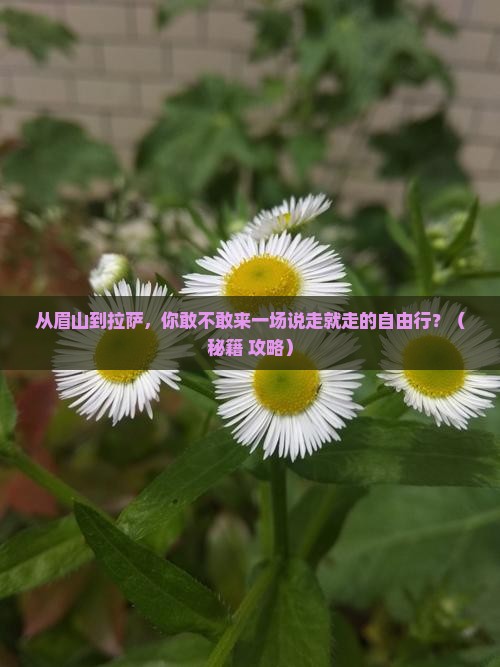 眉山到西藏拉萨自由行