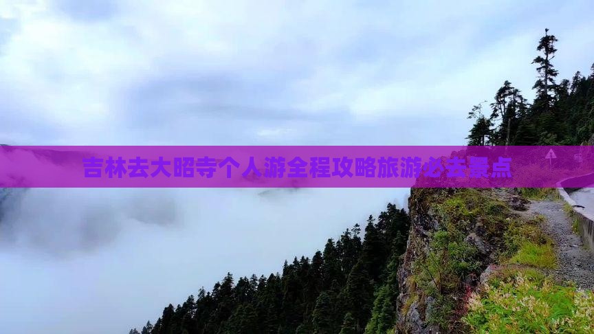 吉林去西藏大昭寺个人游