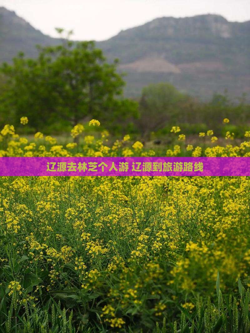 辽源去西藏林芝个人游