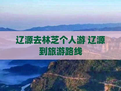 辽源去西藏林芝个人游