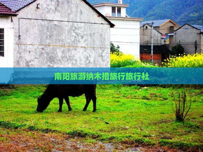 南阳到西藏纳木措旅行社