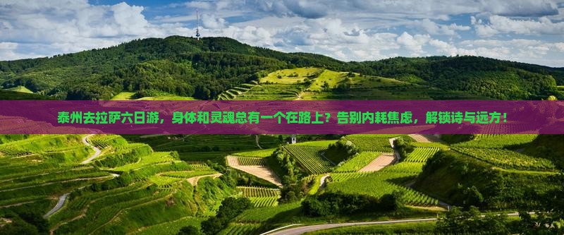 泰州去西藏拉萨六日游 泰州去西藏拉萨六日游