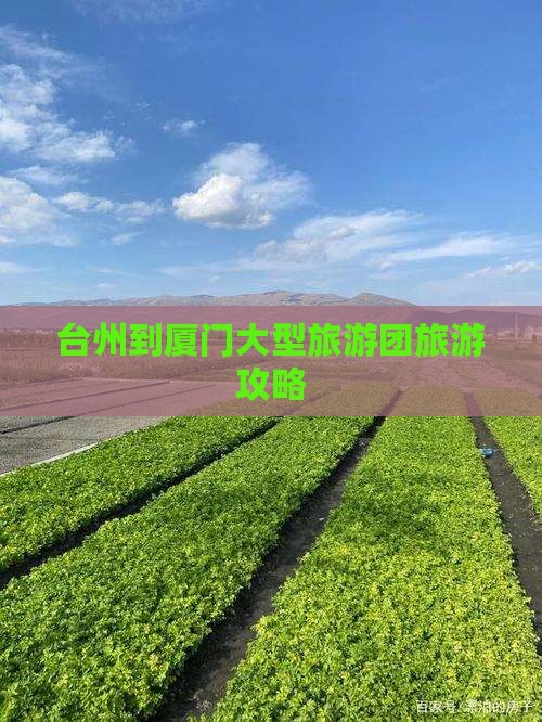 台州到厦门大型旅游团旅游攻略