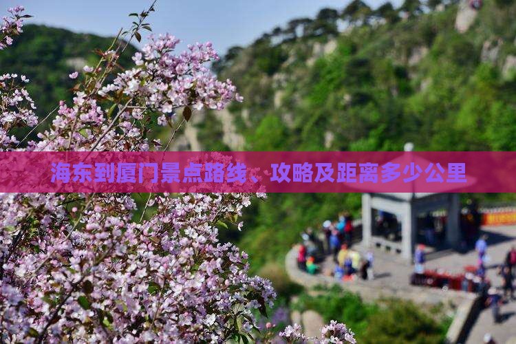 海东到厦门景点路线、攻略及距离多少公里