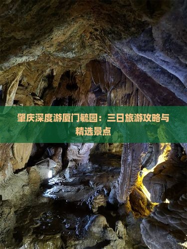 肇庆深度游厦门毓园：三日旅游攻略与精选景点